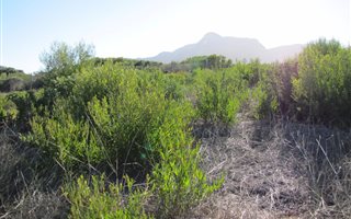 608 m² Land available in Vermont