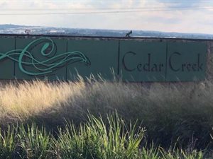 917 m² Land available in Cedar Creek