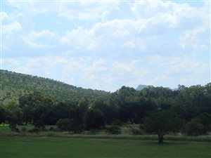 990 m² Land available in Wigwam