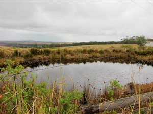 4.2 ha Farm in Mossel Bay Central