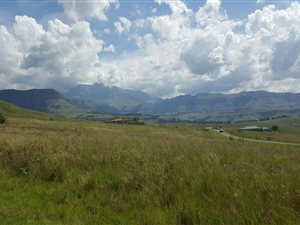 871 m² Land available in Winterton