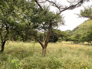 31.4 ha Land available in Hilton