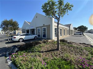 204 m² Commercial space in Milnerton