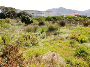 670 m² Land available in Pringle Bay