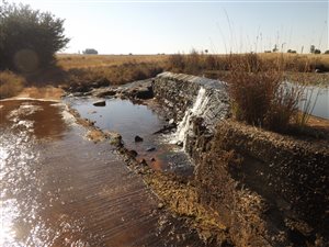 246 ha Farm in Middelburg Central