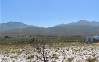924 m² Land available in Pringle Bay