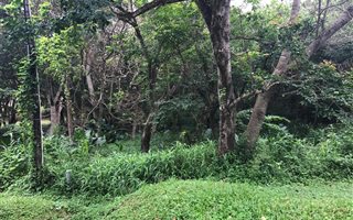 3037 m² Land available in Palm Beach