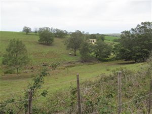6.7 ha Farm in George Central