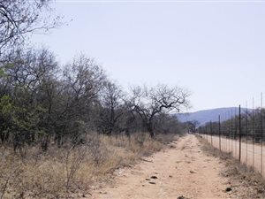 128 ha Farm in Mokopane