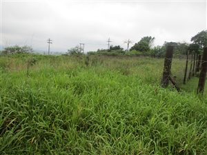 7992 m² Land available in Manderston
