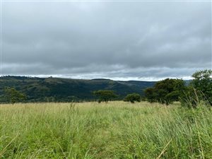 31.3 ha Land available in Hilton