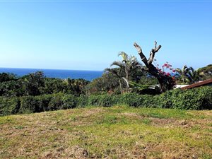 1494 m² Land available in Umzumbe