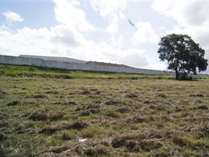 2153 m² Land available in George Central