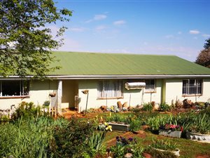 Smallholding in Greytown