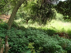 2267 m² Land available in Monument Park