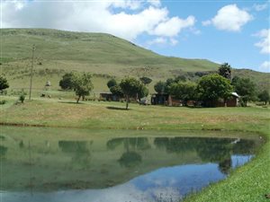 35.1 ha Farm in Waterval Boven