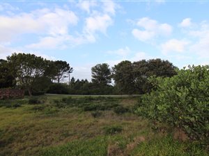 720 m² Land available in Seaside Longships