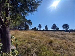 Farm in Elandsfontein