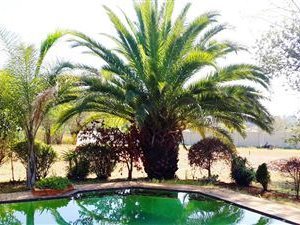 4 Bed House in Glen Austin AH