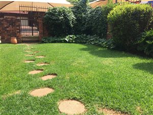 2 Bed Duplex in Windsor East