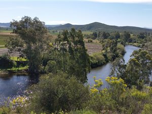 454 m² Land available in Bonnievale