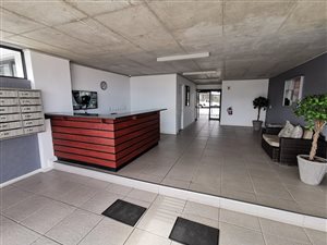 2 Bed Apartment in Woodbridge Island