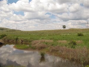 8.5 ha Land available in Bronkhorstspruit