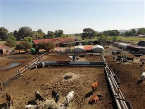 4.8 ha Farm in Heidelberg AH