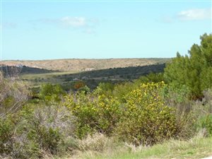 1550 m² Land available in Aalwyndal