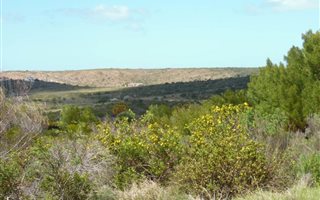 1550 m² Land available in Aalwyndal