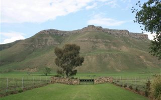 540 ha Farm in Memel