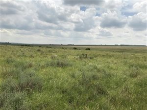 235.4 ha Farm in Bronkhorstspruit