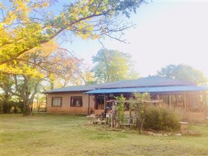 12.4 ha Farm in Ficksburg