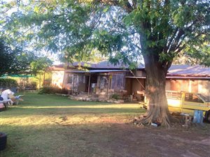 12.4 ha Farm in Ficksburg