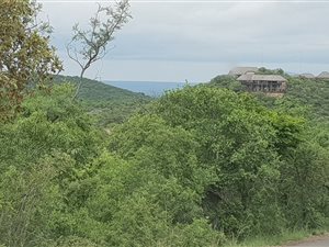 1000 m² Land available in Mabalingwe Nature Reserve