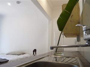 1 Bed Apartment in Faerie Glen