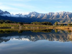 153 ha Farm in Tulbagh