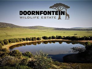 1181 ha Farm in Darling