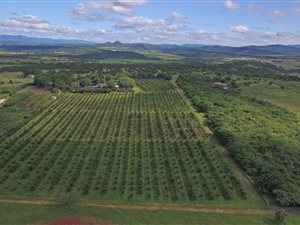 11 ha Farm in Barberton