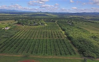 11 ha Farm in Barberton