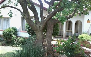 3 Bedroom House in Kempton Park Central