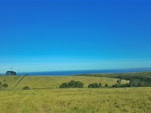 83 ha Land available in Glentana