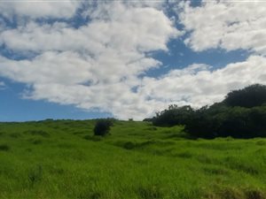 826 m² Land available in Oubaai and surrounds