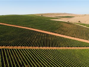 81.7 ha Farm in Malmesbury