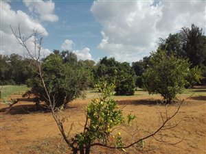 4 ha Farm in Rustenburg North