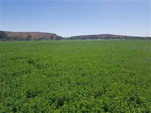 1683 ha Farm in Graaff Reinet