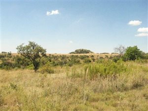 21 ha Land available in Roodekrans