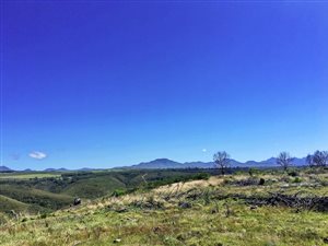 300 m² Land available in Gondwana Game Reserve