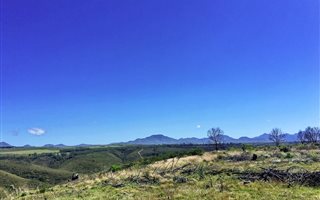 300 m² Land available in Gondwana Game Reserve