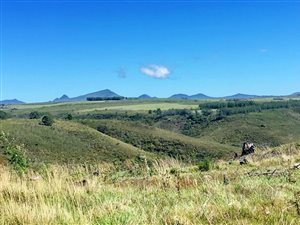 300 m² Land available in Gondwana Game Reserve